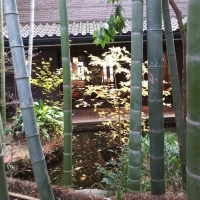 中庭