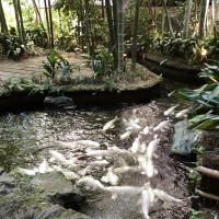 中庭