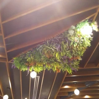 天井のお花