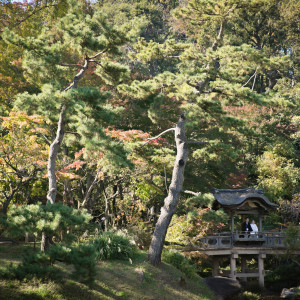 プロカメラマン撮影写真。
アップする為画質下げたものです。|576691さんの三渓園 鶴翔閣（横浜市指定有形文化財）の写真(1137834)