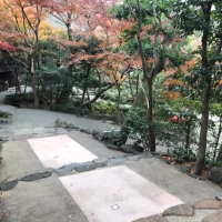 お庭も素敵でした。