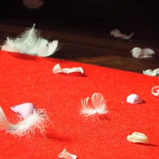 フェザーと生花のフラワーシャワー
