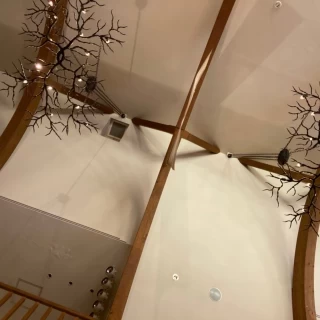 桜の木の枝の照明