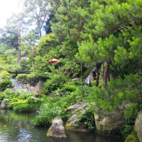 日本庭園が立派です。この中の細い道を参進します。