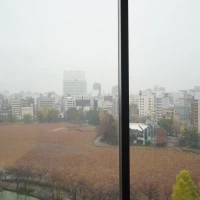 披露宴会場から見た外の景色