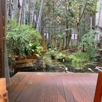 エントランスからの中庭の様子