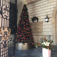 クリスマスの時期は入口にツリーが飾られます。