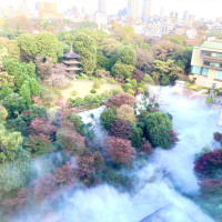 朝の雲海(客室からの景色)