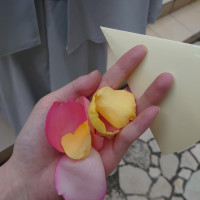 フラワーシャワー用のお花の量