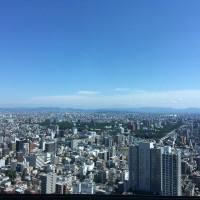 会場からの景色