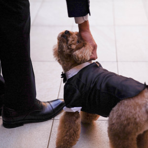 犬|578159さんのWグランラセーレ福岡の写真(1147600)