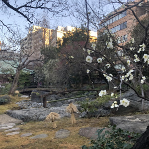 日本庭園|578327さんの湯島天神の写真(1157277)