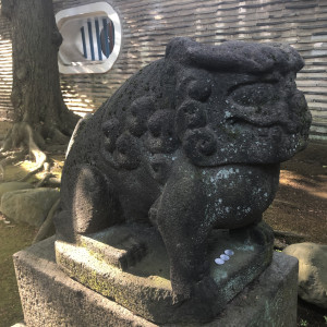 狛犬|578327さんの赤坂 氷川神社の写真(1157273)