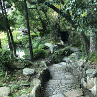 日本庭園が散歩できます