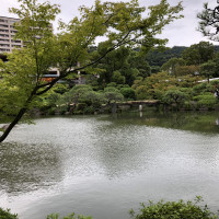 日本庭園は池も広大