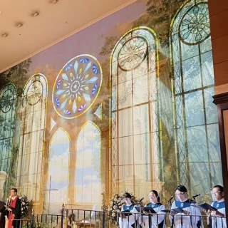 生演奏がとても素敵です！