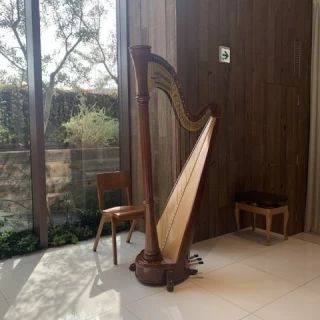 チャペルのハーブ
