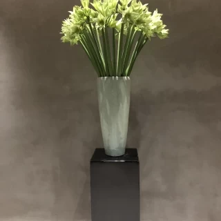 、