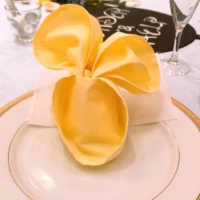 ナフキン