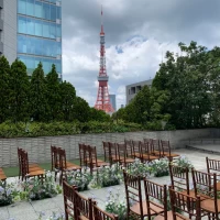 東京タワーが見えます