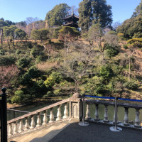 椿山荘といえば美しい庭園