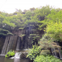 庭の滝