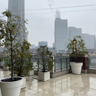 挙式会場外・横浜の景色左側（フラワーシャワー・集合写真）