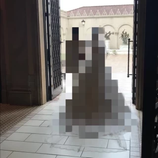 新郎新婦退場