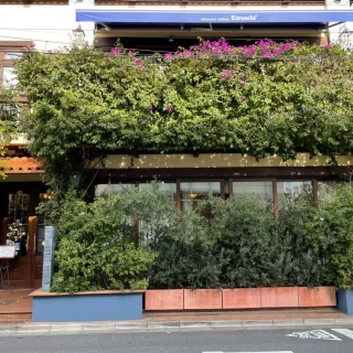 緑がたっぷりの外観です