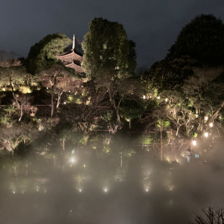 雲海が観れるのもポイント。