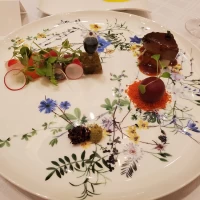 お皿も素敵で、お料理がより華やかに！