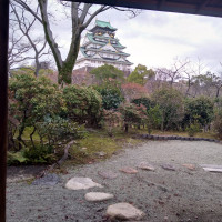 茶室から見える大阪城。桜や紅葉の季節だと最高だと思います。