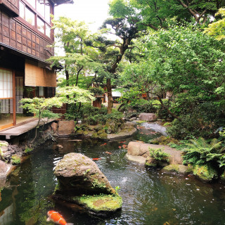 緑と赤い鯉が合います。