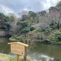 庭園の池