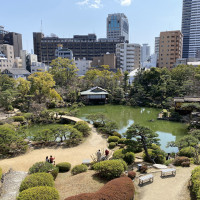 素敵な日本庭園ですが、後ろのビルが気になりました。
