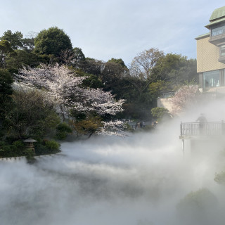 ホテル外の風景　雲海