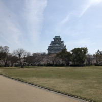 大阪城がとてもよく見える