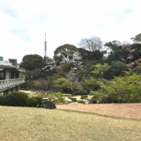 東京タワーと国際文化会館