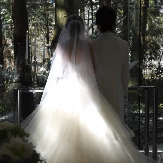 自然光がとても美しいです。