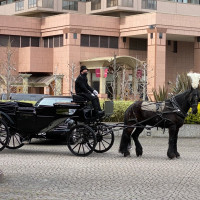 挙式後はホースパレードがあり馬車に乗れます