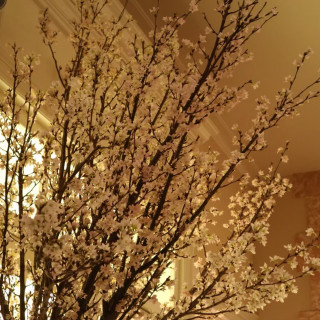 季節に合わせた桜の飾り
