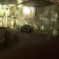 プロジェクトマッピングきれいです
