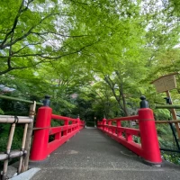 庭園