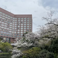庭園