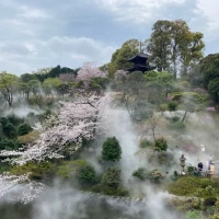 庭園の雲海