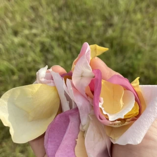 フラワーシャワー