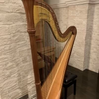 実際に演奏してくれます。