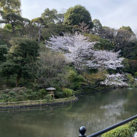 桜が見頃だったので、春の挙式も素敵だと思います。