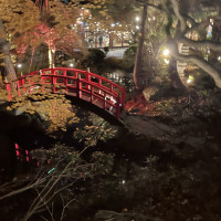 庭園の赤い橋