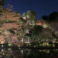 夜景がとっても素敵！ライトアップや、雲海演出も楽しめます。